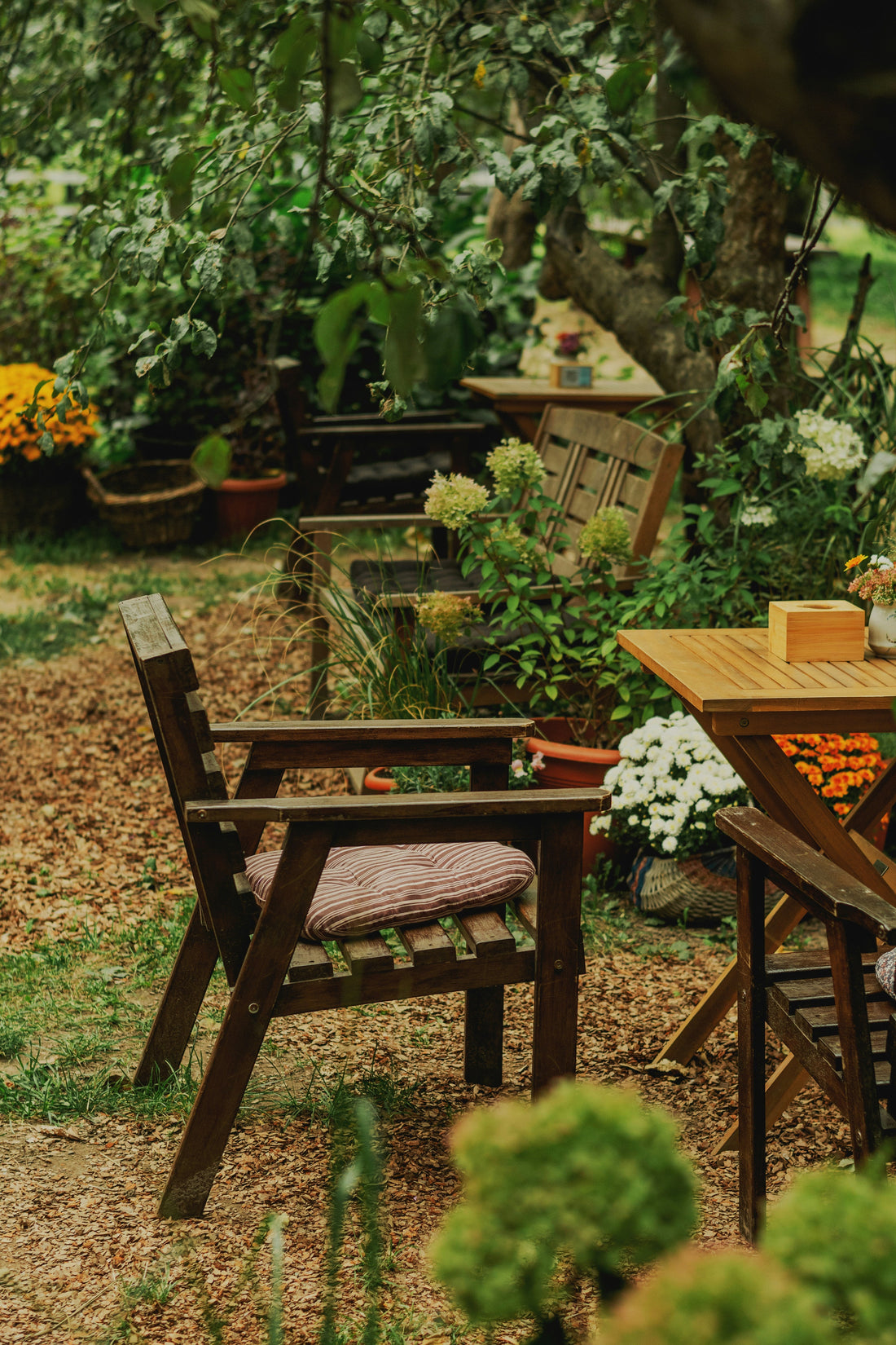 July Reflection // Beauty Lives in Small Rituals