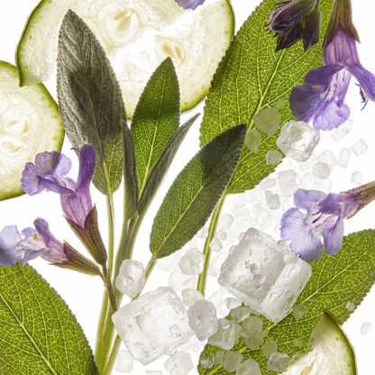 Sage & Sea Salt Eau de Parfum – elvis+elvin